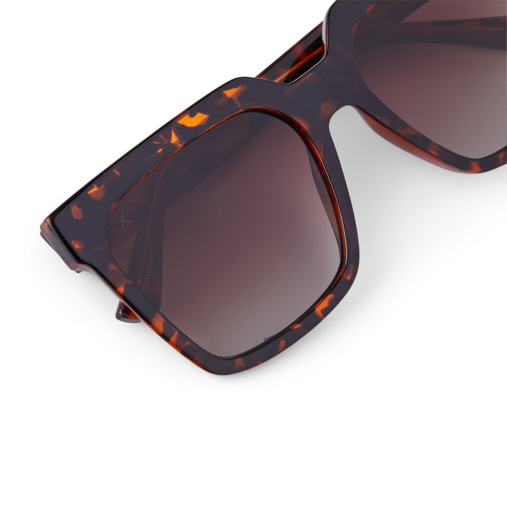 topanga square sunglasses, clear brown & flash